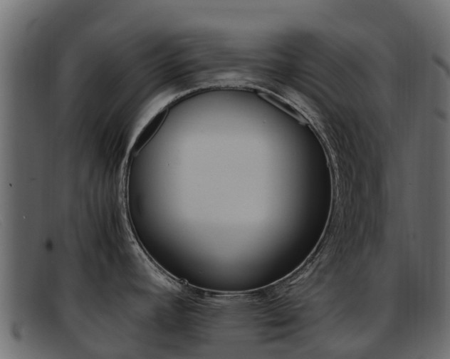 X0000093371392200710111319