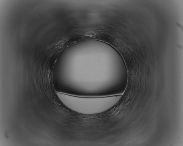 X0000093371394200710111318