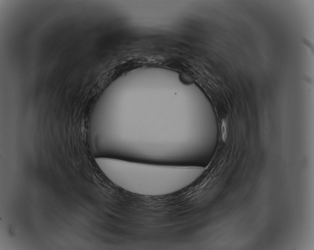 X0000093371395200710111318