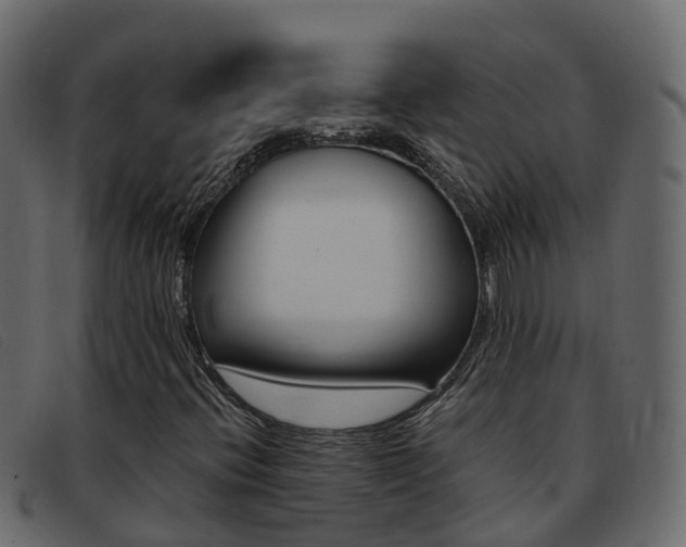 X0000093371396200710111318