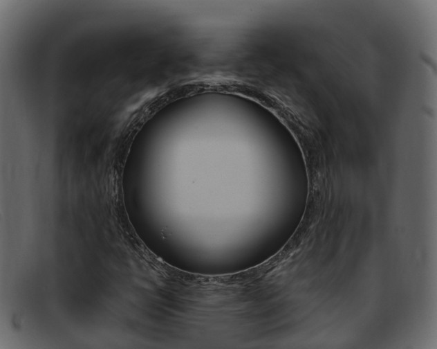 X0000093371398200710111318