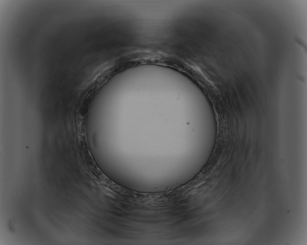 X0000093371399200710111318
