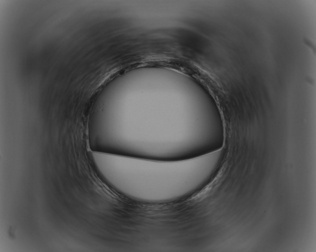X0000093371401200710111318