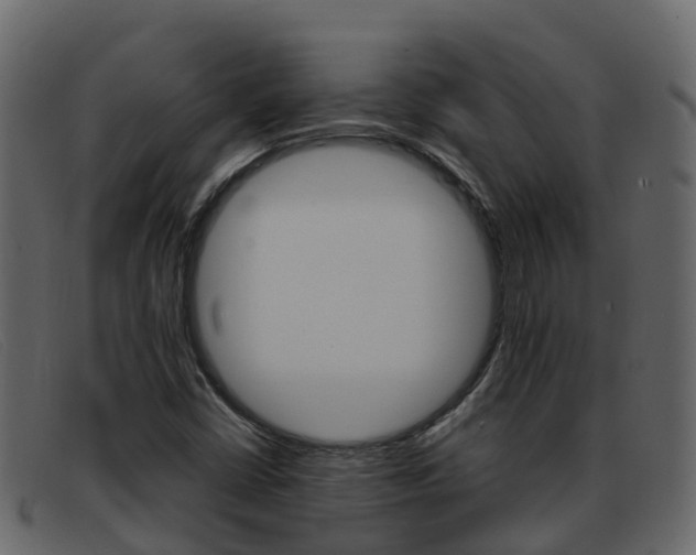 X0000093371402200710111318