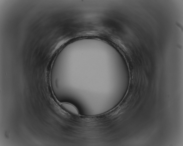 X0000093371404200710111318