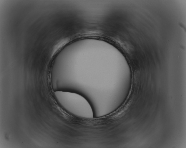 X0000093371405200710111318