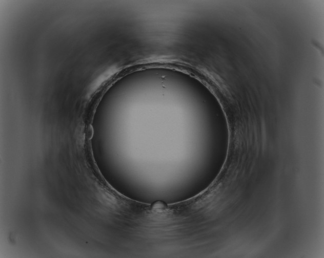 X0000093371406200710111318