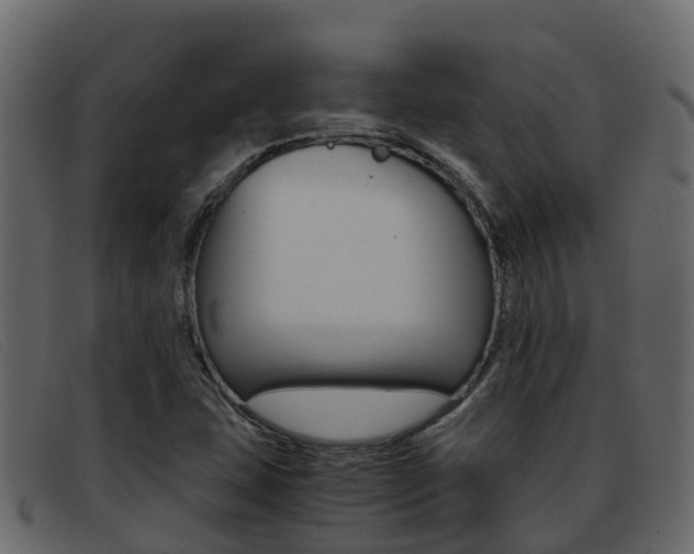 X0000093371407200710111318