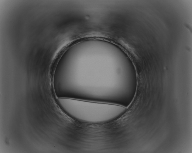X0000093371408200710111318