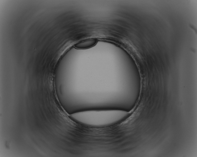 X0000093371409200710111318