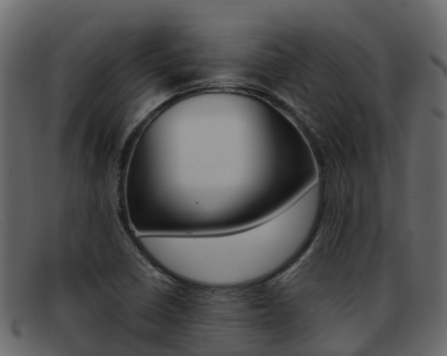 X0000093371410200710111318