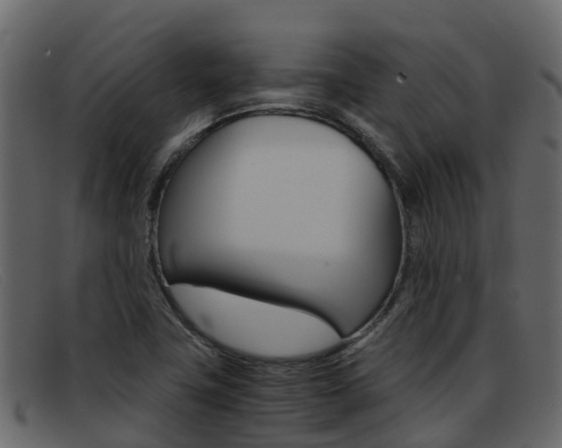 X0000093371411200710111318