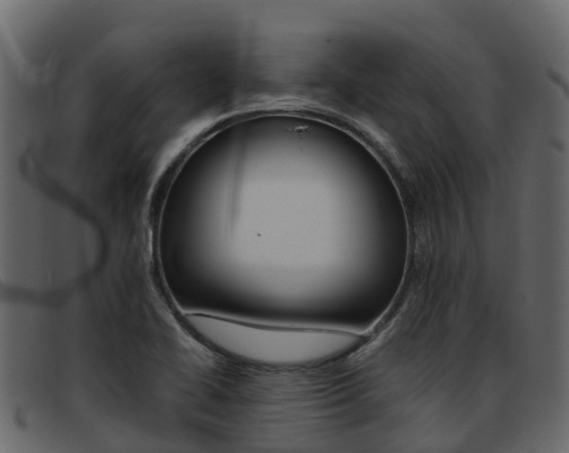 X0000093371414200710111318