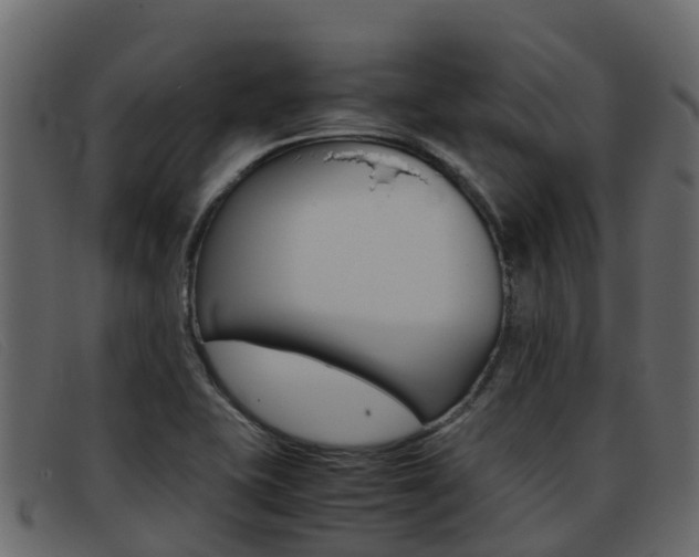 X0000093371415200710111318