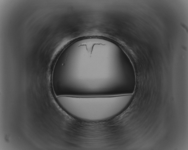 X0000093371416200710111318