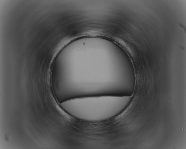 X0000093371421200710111318