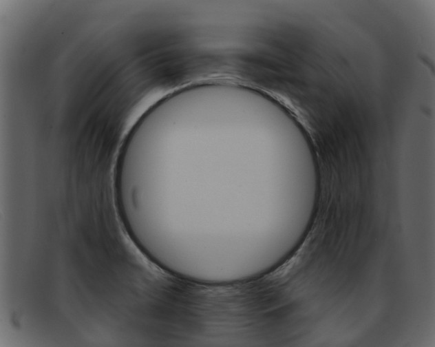 X0000093371422200710111318