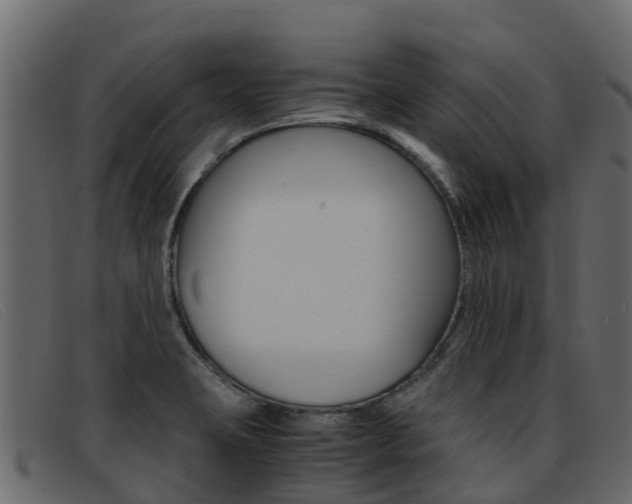 X0000093371423200710111318