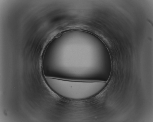 X0000093371424200710111318