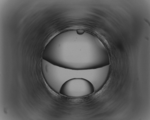 X0000093371425200710111318