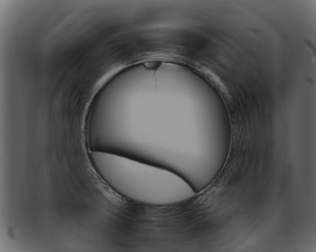 X0000093371427200710111318
