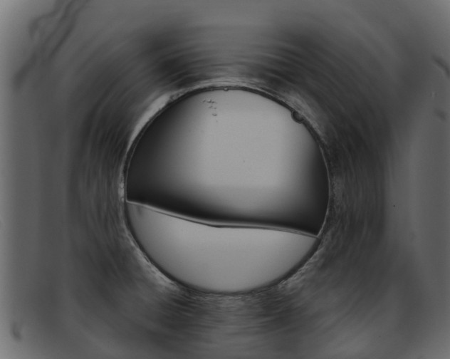 X0000093371428200710111318
