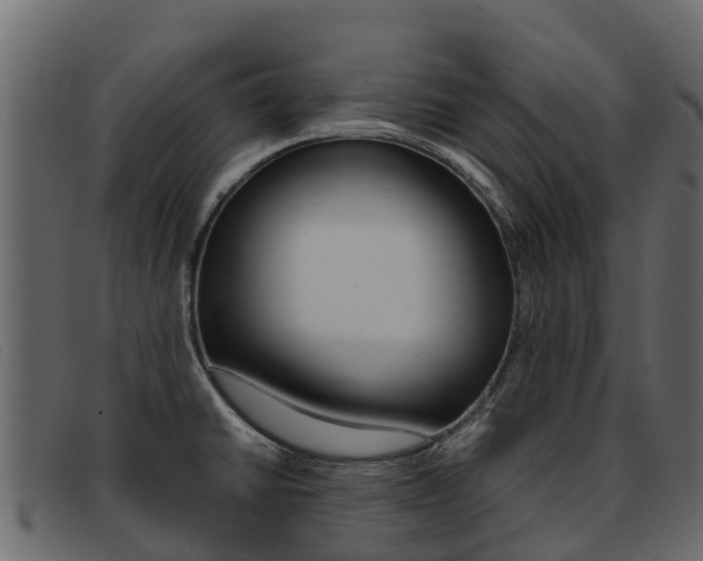 X0000093371430200710111318