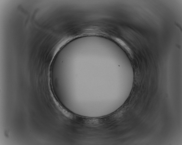 X0000093371431200710111318