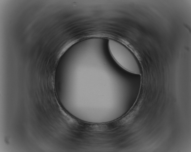 X0000093371433200710111318