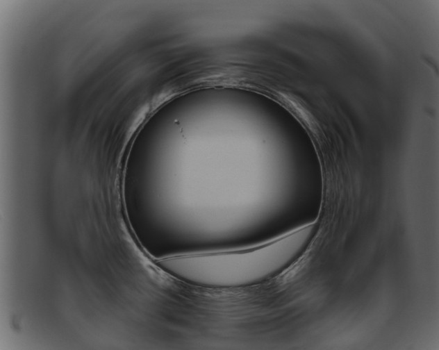 X0000093371434200710111318