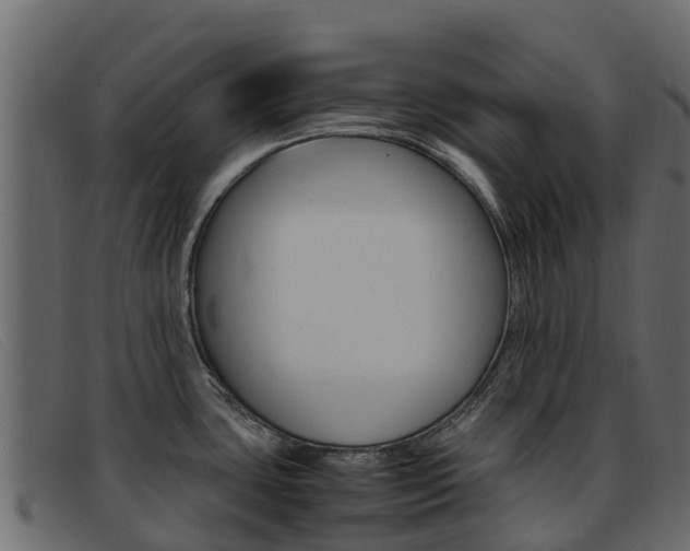 X0000093371435200710111318