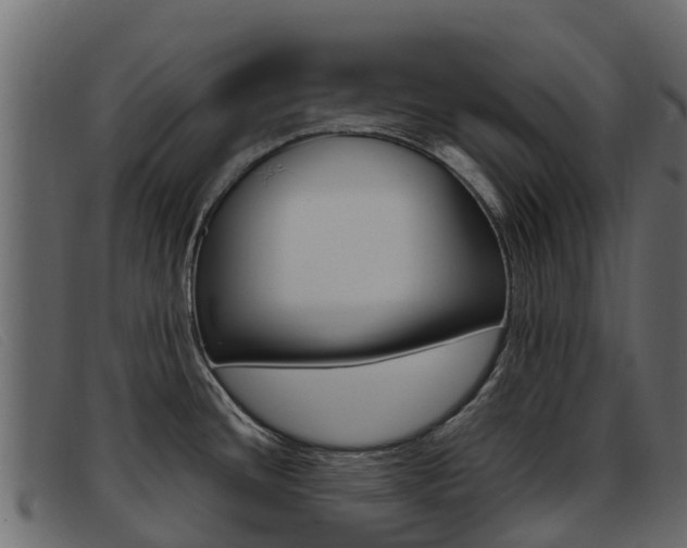 X0000093371436200710111318