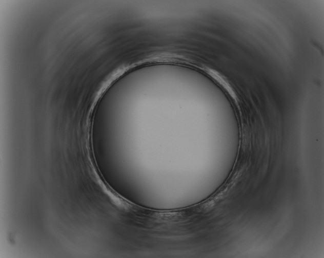 X0000093371437200710111319