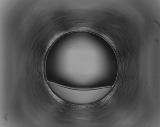 X0000093371438200710111319