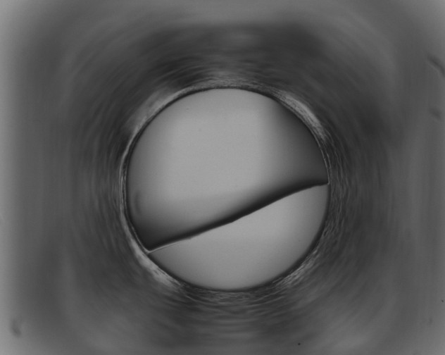 X0000093371439200710111319