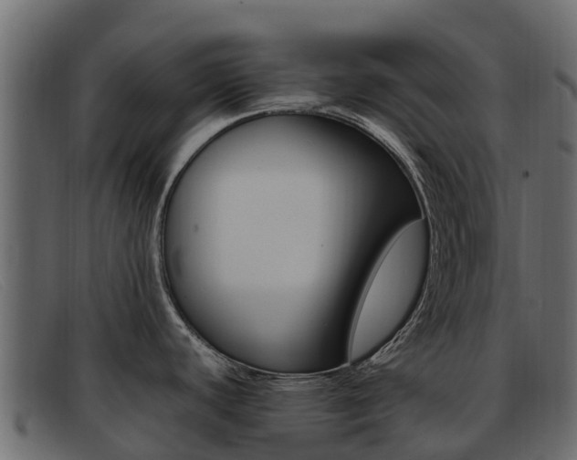 X0000093371440200710111319