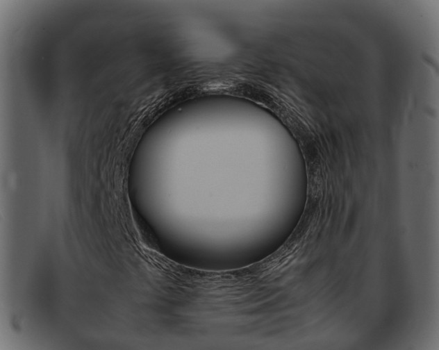 X0000093371441200710111318