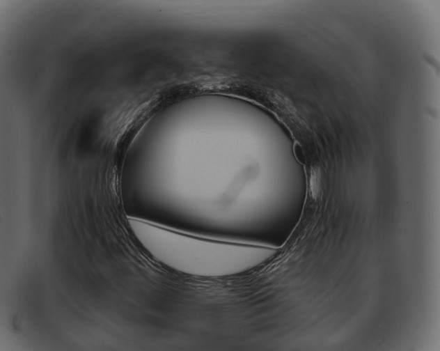 X0000093371444200710111318