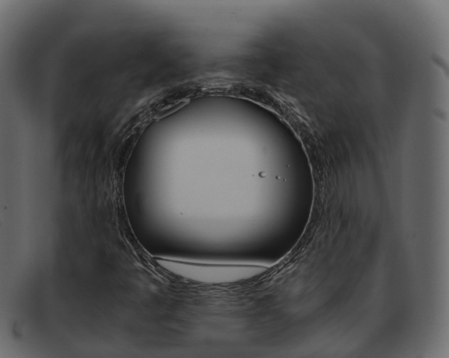 X0000093371445200710111318