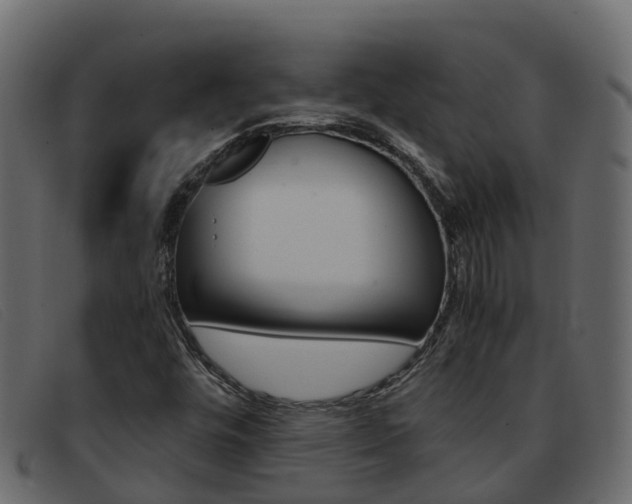 X0000093371448200710111318