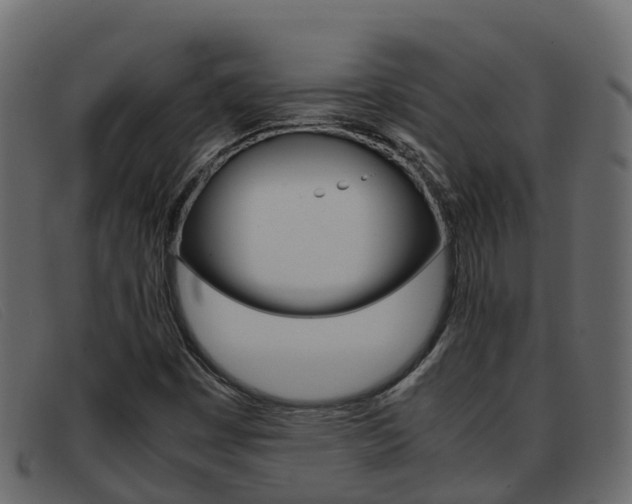 X0000093371449200710111318