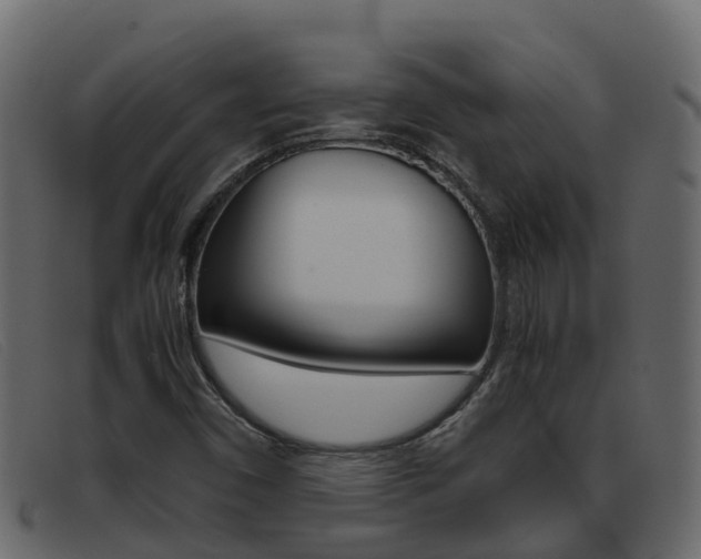 X0000093371450200710111318