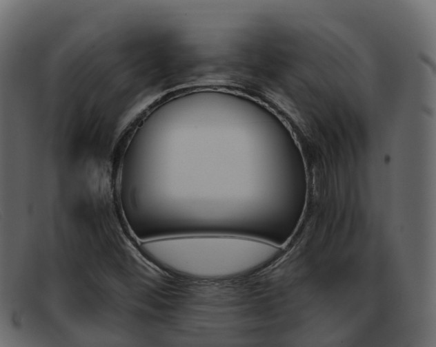 X0000093371452200710111318