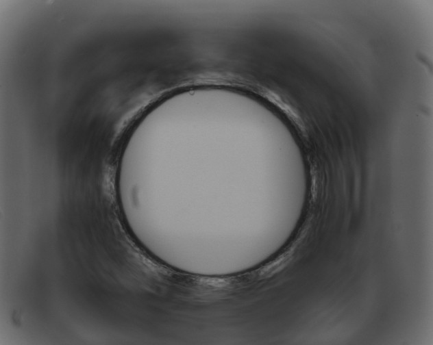 X0000093371454200710111318