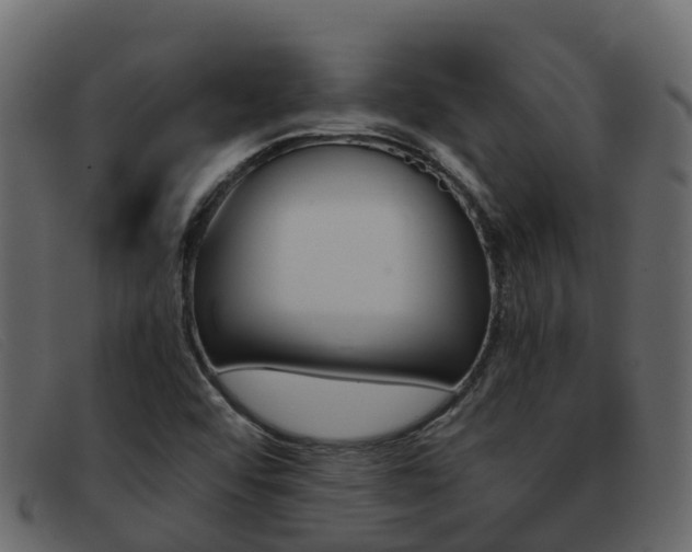 X0000093371456200710111318