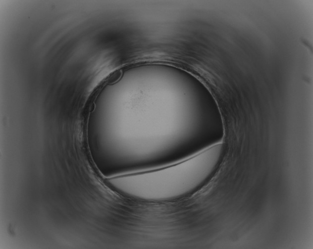 X0000093371458200710111318