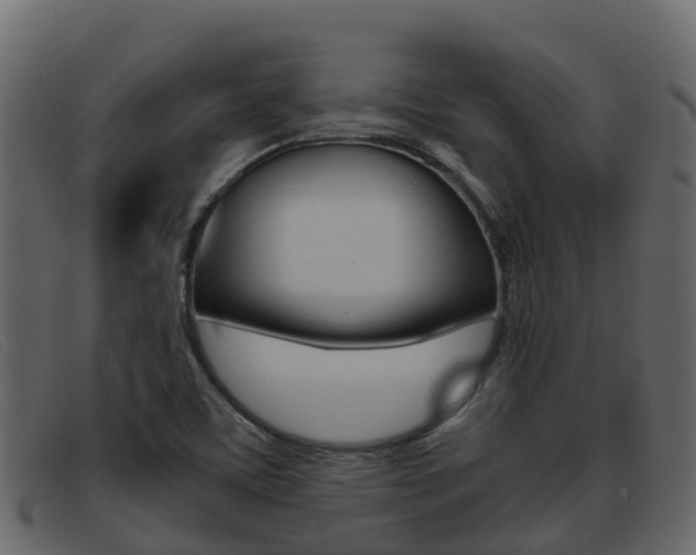 X0000093371459200710111318