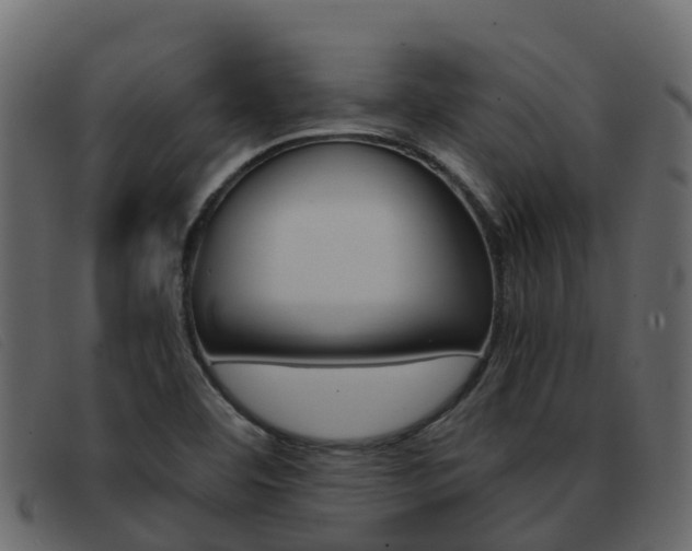 X0000093371460200710111318