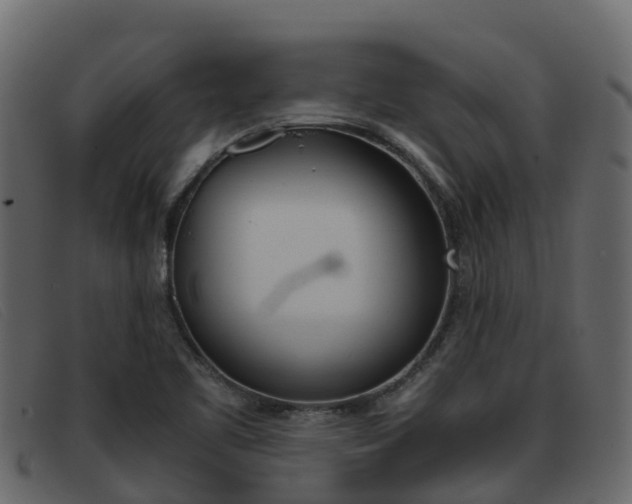 X0000093371461200710111318