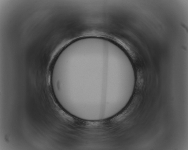 X0000093371462200710111318